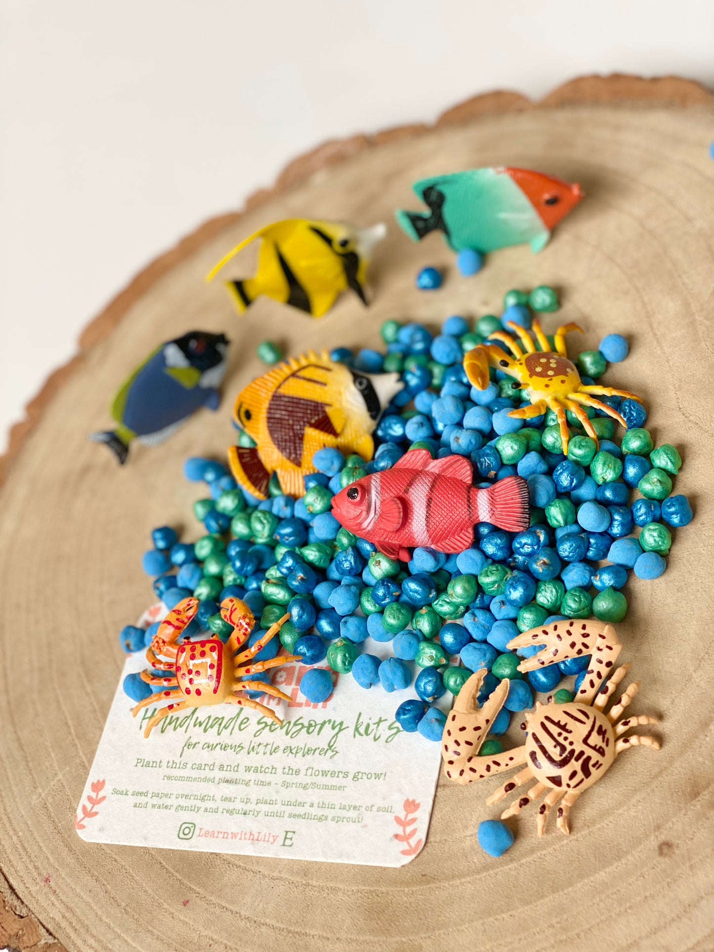 X3 Mini Sea Creatures